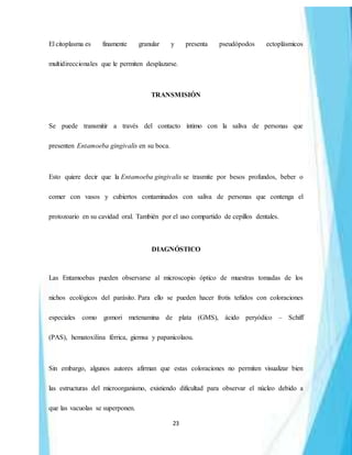 23
El citoplasma es finamente granular y presenta pseudópodos ectoplásmicos
multidireccionales que le permiten desplazarse.
TRANSMISIÓN
Se puede transmitir a través del contacto íntimo con la saliva de personas que
presenten Entamoeba gingivalis en su boca.
Esto quiere decir que la Entamoeba gingivalis se trasmite por besos profundos, beber o
comer con vasos y cubiertos contaminados con saliva de personas que contenga el
protozoario en su cavidad oral. También por el uso compartido de cepillos dentales.
DIAGNÓSTICO
Las Entamoebas pueden observarse al microscopio óptico de muestras tomadas de los
nichos ecológicos del parásito. Para ello se pueden hacer frotis teñidos con coloraciones
especiales como gomori metenamina de plata (GMS), ácido peryódico – Schiff
(PAS), hematoxilina férrica, giemsa y papanicolaou.
Sin embargo, algunos autores afirman que estas coloraciones no permiten visualizar bien
las estructuras del microorganismo, existiendo dificultad para observar el núcleo debido a
que las vacuolas se superponen.
 