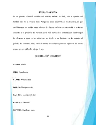 26
ENDOLIMAX NANA
Es un parásito comensal exclusivo del intestino humano, es decir, vive a expensas del
hombre, mas no le ocasiona daño. Aunque no causa enfermedades en el hombre, ya que
periódicamente se notifica casos clínicos de diarreas crónicas o enterocolitis o urticarias
asociadas a su presencia. Su presencia es un buen marcador de contaminación oral-fecal por
los alimentos o agua en las poblaciones en donde a sus habitantes se les detecten el
parásito. La Endolimax nana, como el nombre de la especie pareciera sugerir es una ameba
enana, rara vez midiendo más de 10 μm.
CLASIFICACIÓN CIENTÍFICA
REINO: Protista
FILO: Amoebozoa
CLASE: Archamoebae
ORDEN: Mastigamoebida
FAMILIA: Mastigamoebidae
GENERO: Endolimax
ESPECIE: Endolimax nana
 