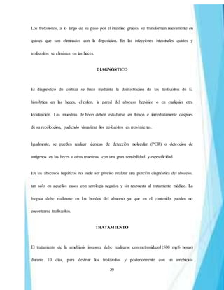29
Los trofozoítos, a lo largo de su paso por el intestino grueso, se transforman nuevamente en
quistes que son eliminados con la deposición. En las infecciones intestinales quistes y
trofozoítos se eliminan en las heces.
DIAGNÓSTICO
El diagnóstico de certeza se hace mediante la demostración de los trofozoítos de E.
histolytica en las heces, el colon, la pared del absceso hepático o en cualquier otra
localización. Las muestras de heces deben estudiarse en fresco e inmediatamente después
de su recolección, pudiendo visualizar los trofozoítos en movimiento.
Igualmente, se pueden realizar técnicas de detección molecular (PCR) o detección de
antígenos en las heces u otras muestras, con una gran sensibilidad y especificidad.
En los abscesos hepáticos no suele ser preciso realizar una punción diagnóstica del absceso,
tan sólo en aquellos casos con serología negativa y sin respuesta al tratamiento médico. La
biopsia debe realizarse en los bordes del absceso ya que en el contenido pueden no
encontrarse trofozoítos.
TRATAMIENTO
El tratamiento de la amebiasis invasora debe realizarse con metronidazol (500 mg/6 horas)
durante 10 días, para destruir los trofozoítos y posteriormente con un amebicida
 