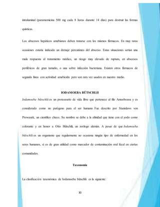30
intraluminal (paramomicina 500 mg cada 8 horas durante 14 días) para destruir las formas
quísticas.
Los abscesos hepáticos amebianos deben tratarse con los mismos fármacos. En muy raras
ocasiones estaría indicado un drenaje percutáneo del absceso. Estas situaciones serían una
mala respuesta al tratamiento médico, un riesgo muy elevado de ruptura, en abscesos
periféricos de gran tamaño, o una sobre infección bacteriana. Existen otros fármacos de
segunda línea con actividad amebicida pero son rara vez usados en nuestro medio.
IODAMOEBA BÜTSCHLII
Iodamoeba bütschlii es un protozoario de vida libre que pertenece al filo Amoebozoa y es
considerado como no patógeno para el ser humano. Fue descrito por Stanislaws von
Prowazek, un científico checo. Su nombre se debe a la afinidad que tiene con el yodo como
colorante y en honor a Otto Bütschili, un zoólogo alemán. A pesar de que Iodamoeba
bütschlii es un organismo que regularmente no ocasiona ningún tipo de enfermedad en los
seres humanos, sí es de gran utilidad como marcador de contaminación oral fecal en ciertas
comunidades.
Taxonomía
La clasificación taxonómica de Iodamoeba bütschlii es la siguiente:
 