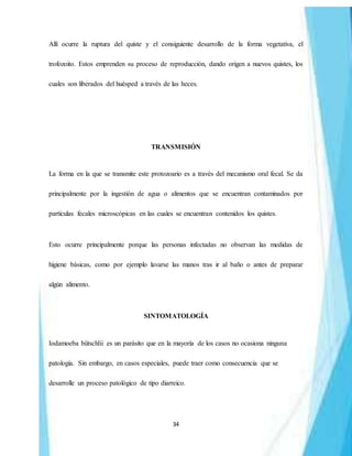 34
Allí ocurre la ruptura del quiste y el consiguiente desarrollo de la forma vegetativa, el
trofozoito. Estos emprenden su proceso de reproducción, dando origen a nuevos quistes, los
cuales son liberados del huésped a través de las heces.
TRANSMISIÓN
La forma en la que se transmite este protozoario es a través del mecanismo oral fecal. Se da
principalmente por la ingestión de agua o alimentos que se encuentran contaminados por
partículas fecales microscópicas en las cuales se encuentran contenidos los quistes.
Esto ocurre principalmente porque las personas infectadas no observan las medidas de
higiene básicas, como por ejemplo lavarse las manos tras ir al baño o antes de preparar
algún alimento.
SINTOMATOLOGÍA
Iodamoeba bütschlii es un parásito que en la mayoría de los casos no ocasiona ninguna
patología. Sin embargo, en casos especiales, puede traer como consecuencia que se
desarrolle un proceso patológico de tipo diarreico.
 