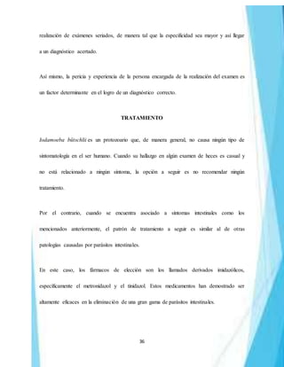 36
realización de exámenes seriados, de manera tal que la especificidad sea mayor y así llegar
a un diagnóstico acertado.
Así mismo, la pericia y experiencia de la persona encargada de la realización del examen es
un factor determinante en el logro de un diagnóstico correcto.
TRATAMIENTO
Iodamoeba bütschlii es un protozoario que, de manera general, no causa ningún tipo de
sintomatología en el ser humano. Cuando su hallazgo en algún examen de heces es casual y
no está relacionado a ningún síntoma, la opción a seguir es no recomendar ningún
tratamiento.
Por el contrario, cuando se encuentra asociado a síntomas intestinales como los
mencionados anteriormente, el patrón de tratamiento a seguir es similar al de otras
patologías causadas por parásitos intestinales.
En este caso, los fármacos de elección son los llamados derivados imidazólicos,
específicamente el metronidazol y el tinidazol. Estos medicamentos han demostrado ser
altamente eficaces en la eliminación de una gran gama de parásitos intestinales.
 