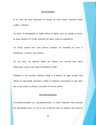 40
TRANSMISIÓN
Si no existe una buena disposición de excretas, las heces pueden contaminar fuentes
acuíferas y alimentos.
Así mismo, el incumplimiento de simples hábitos de higiene, como por ejemplo no lavarse
las manos después de ir al baño, representa una fuente común de contaminación.
Las moscas pueden servir como factores mecánicos de transmisión, así como el
hacinamiento y contactos muy estrechos.
Por otra parte, las relaciones íntimas que incluyan sexo oral-anal entre sujetos
homosexuales puede ser una forma de transmisión posible.
Finalmente se han reportado epidemias debido a la filtración de aguas servidas hacia
sistemas de agua potable adyacentes e incluso en balnearios recreacionales de agua dulce,
pues el agua clorada no destruye a los quistes de Giardia lamblia.
SINTOMATOLOGÍA
Los síntomas producidos por una giardiasis pueden ser desde inexistentes hasta presentar
una sintomatología grave. En caso de que la infección curse con síntomas, estos aparecen
 