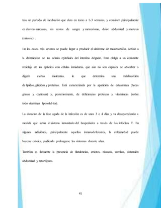 41
tras un período de incubación que dura en torno a 1-3 semanas, y consisten principalmente
en diarreas mucosas, sin restos de sangre y meteorismo, dolor abdominal y anorexia
(síntoma) .
En los casos más severos se puede llegar a producir el síndrome de malabsorción, debido a
la destrucción de las células epiteliales del intestino delgado. Esto obliga a un constante
reciclaje de los epitelios con células inmaduras, que aún no son capaces de absorber o
digerir ciertas moléculas, lo que determina una malabsorción
de lípidos, glúcidos y proteínas. Está caracterizada por la aparición de esteatorrea (heces
grasas y copiosas) y, posteriormente, de deficiencias proteicas y vitamínicas (sobre
todo vitaminas liposolubles).
La duración de la fase aguda de la infección es de unos 3 o 4 días y va desapareciendo a
medida que actúa el sistema inmunitario del hospedador a través de los linfocitos T. En
algunos individuos, principalmente aquellos inmunodeficientes, la enfermedad puede
hacerse crónica, pudiendo prolongarse los síntomas durante años.
También es frecuente la presencia de flatulencias, eructos, náuseas, vómitos, distensión
abdominal y retortijones.
 