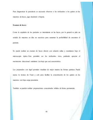 43
Para diagnosticar la parasitosis es necesario observar o los trofozoítos o los quistes en las
muestras de heces, jugo duodenal o biopsia.
Examen de heces
Como la expulsión de los parásitos es intermitente en las heces, por lo general se pide un
seriado de muestras en días no sucesivos para aumentar la probabilidad de encontrar el
parásito.
Se puede realizar un examen de heces directo con solución salina y examinarse bajo el
microscopio óptico. Esto permitirá ver los trofozoítos vivos, pudiendo apreciar el
movimiento direccional ondulante (en hoja que cae) característico.
Los preparados con lugol permiten visualizar de mejor manera las formas quísticas. Puede
usarse la técnica de Faust y cols para facilitar la concentración de los quistes en las
muestras con baja carga parasitaria.
También se pueden realizar preparaciones concentradas teñidas de forma permanente.
 