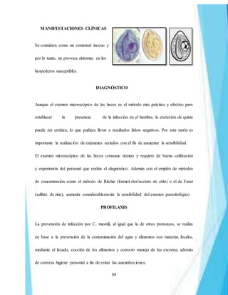 54
MANIFESTACIONES CLÍNICAS
Se considera como un comensal inocuo y
por lo tanto, no provoca síntomas en los
hospederos susceptibles.
DIAGNÓSTICO
Aunque el examen microscópico de las heces es el método más práctico y efectivo para
establecer la presencia de la infección en el hombre, la excreción de quiste
puede ser errática, lo que pudiera llevar a resultados falsos negativos. Por esta razón es
importante la realización de exámenes seriados con el fin de aumentar la sensibilidad.
El examen microscópico de las heces consume tiempo y requiere de buena calificación
y experiencia del personal que realiza el diagnóstico. Además con el empleo de métodos
de concentración como el método de Ritchie (formol-éter/acetato de etilo) o el de Faust
(sulfato de zinc), aumenta considerablemente la sensibilidad del examen parasitológico.
PROFILAXIS
La prevención de infección por C. mesnili, al igual que la de otros protozoos, se realiza
en base a la prevención de la contaminación del agua y alimentos con materias fecales,
mediante el lavado, cocción de los alimentos y correcto manejo de las excretas, además
de correcta higiene personal a fin de evitar las autoinfecciones.
 