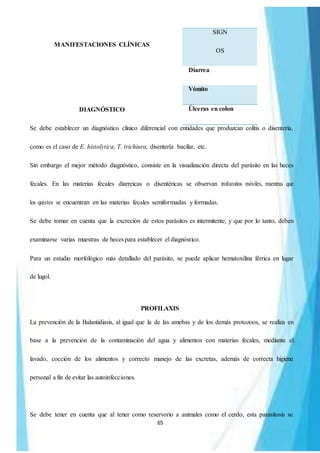 65
MANIFESTACIONES CLÍNICAS
DIAGNÓSTICO
Se debe establecer un diagnóstico clínico diferencial con entidades que produzcan colitis o disentería,
como es el caso de E. histolytica, T. trichiura, disentería bacilar, etc.
Sin embargo el mejor método diagnóstico, consiste en la visualización directa del parásito en las heces
fecales. En las materias fecales diarreicas o disentéricas se observan trofozoitos móviles, mientras que
los quistes se encuentran en las materias fecales semiformadas y formadas.
Se debe tomar en cuenta que la excreción de estos parásitos es intermitente, y que por lo tanto, deben
examinarse varias muestras de hecespara establecer el diagnóstico.
Para un estudio morfológico más detallado del parásito, se puede aplicar hematoxilina férrica en lugar
de lugol.
PROFILAXIS
La prevención de la Balantidiasis, al igual que la de las amebas y de los demás protozoos, se realiza en
base a la prevención de la contaminación del agua y alimentos con materias fecales, mediante el
lavado, cocción de los alimentos y correcto manejo de las excretas, además de correcta higiene
personal a fin de evitar las autoinfecciones.
Se debe tener en cuenta que al tener como reservorio a animales como el cerdo, esta parasitosis se
SIGN
OS
Diarrea
Vómito
Úlceras en colon
 
