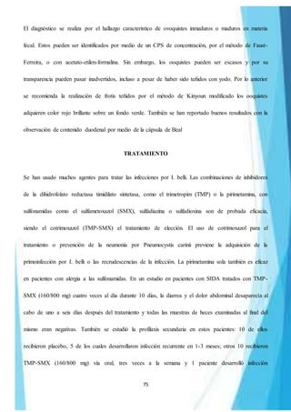 75
El diagnóstico se realiza por el hallazgo característico de ovoquistes inmaduros o maduros en materia
fecal. Estos pueden ser identificados por medio de un CPS de concentración, por el método de Faust-
Ferreira, o con acetato-etilen-formalina. Sin embargo, los ooquistes pueden ser escasos y por su
transparencia pueden pasar inadvertidos, incluso a pesar de haber sido teñidos con yodo. Por lo anterior
se recomienda la realización de frotis teñidos por el método de Kinyoun modificado los ooquistes
adquieren color rojo brillante sobre un fondo verde. También se han reportado buenos resultados con la
observación de contenido duodenal por medio de la cápsula de Beal
TRATAMIENTO
Se han usado muchos agentes para tratar las infecciones por I. belli. Las combinaciones de inhibidores
de la dihidrofolato reductasa timidilato sintetasa, como el trimetropim (TMP) o la pirimetamina, con
sulfonamidas como el sulfametoxazol (SMX), sulfadiazina o sulfadioxina son de probada eficacia,
siendo el cotrimoxazol (TMP-SMX) el tratamiento de elección. El uso de cotrimoxazol para el
tratamiento o prevención de la neumonía por Pneumocystis carinii previene la adquisición de la
primoinfección por I. belli o las recrudescencias de la infección. La pirimetamina sola también es eficaz
en pacientes con alergia a las sulfonamidas. En un estudio en pacientes con SIDA tratados con TMP-
SMX (160/800 mg) cuatro veces al día durante 10 días, la diarrea y el dolor abdominal desaparecía al
cabo de uno a seis días después del tratamiento y todas las muestras de heces examinadas al final del
mismo eran negativas. También se estudió la profilaxis secundaria en estos pacientes: 10 de ellos
recibieron placebo, 5 de los cuales desarrollaron infección recurrente en 1-3 meses; otros 10 recibieron
TMP-SMX (160/800 mg) vía oral, tres veces a la semana y 1 paciente desarrolló infección
 