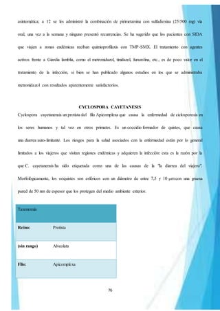 76
asintomática; a 12 se les administró la combinación de pirimetamina con sulfadioxina (25/500 mg) vía
oral, una vez a la semana y ninguno presentó recurrencias. Se ha sugerido que los pacientes con SIDA
que viajen a zonas endémicas reciban quimioprofilaxis con TMP-SMX. El tratamiento con agentes
activos frente a Giardia lamblia, como el metronidazol, tinidazol, furazolina, etc., es de poco valor en el
tratamiento de la infección, si bien se han publicado algunos estudios en los que se administraba
metronidazol con resultados aparentemente satisfactorios.
CYCLOSPORA CAYETANESIS
Cyclospora cayetanensis un protista del filo Apicomplexa que causa la enfermedad de ciclosporosis en
los seres humanos y tal vez en otros primates. Es un coccidio formador de quistes, que causa
una diarrea auto-limitante. Los riesgos para la salud asociados con la enfermedad están por lo general
limitados a los viajeros que visitan regiones endémicas y adquieren la infección: esta es la razón por la
que C. cayetanensis ha sido etiquetada como una de las causas de la "la diarrea del viajero".
Morfológicamente, los ooquistes son esféricos con un diámetro de entre 7,5 y 10 μm con una gruesa
pared de 50 nm de espesor que los protegen del medio ambiente exterior.
Taxonomía
Reino: Protista
(sin rango) Alveolata
Filo: Apicomplexa
 