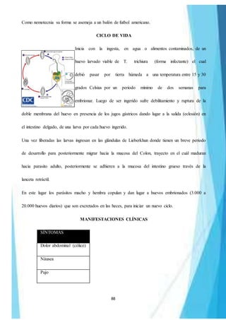 88
Como nemotecnia su forma se asemeja a un balón de futbol americano.
CICLO DE VIDA
Inicia con la ingesta, en agua o alimentos contaminados, de un
huevo larvado viable de T. trichiura (forma infectante) el cual
debió pasar por tierra húmeda a una temperatura entre 15 y 30
grados Celsius por un periodo mínimo de dos semanas para
embrionar. Luego de ser ingerido sufre debilitamiento y ruptura de la
doble membrana del huevo en presencia de los jugos gástricos dando lugar a la salida (eclosión) en
el intestino delgado, de una larva por cada huevo ingerido.
Una vez liberadas las larvas ingresan en las glándulas de Lieberkhun donde tienen un breve periodo
de desarrollo para posteriormente migrar hacia la mucosa del Colon, trayecto en el cuál maduran
hacia parasito adulto, posteriormente se adhieren a la mucosa del intestino grueso través de la
lanceta retráctil.
En este lugar los parásitos macho y hembra copulan y dan lugar a huevos embrionados (3.000 a
20.000 huevos diarios) que son excretados en las heces, para iniciar un nuevo ciclo.
MANIFESTACIONES CLÍNICAS
SÍNTOMAS
Dolor abdominal (cólico)
Náusea
Pujo
 