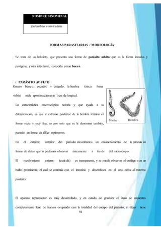 91
NOMBREBINOMINAL
Enterobius vermicularis
FORMAS PARASITARIAS / MORFOLOGÍA
Se trata de un helminto, que presenta una forma de parásito adulto que es la forma invasiva y
patógena, y otra infectante, conocida como huevo.
1. PARÁSITO ADULTO:
Gusano blanco, pequeño y delgado, la hembra (Única forma
visible) mide aproximadamente 1 cm de longitud.
La característica macroscópica notoria y que ayuda a su
diferenciación, es que el extremo posterior de la hembra termina en
forma recta y muy fina, es por esto que se le denomina también,
parasito en forma de alfiler opinworm.
En el extremo anterior del parásito encontramos un ensanchamiento de la cutícula en
forma de aletas que lo podemos observar únicamente a través del microscopio.
El recubrimiento externo (cutícula) es transparente, y se puede observar el esófago con un
bulbo prominente, el cual se continúa con el intestino y desemboca en el ano, cerca al extremo
posterior.
El aparato reproductor es muy desarrollado, y en estado de gravidez el útero se encuentra
completamente lleno de huevos ocupando casi la totalidad del cuerpo del parásito, el útero tiene
 