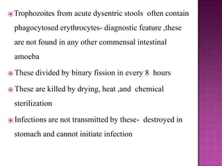 ⦿Trophozoites from acute dysentric stools often contain
phagocytosed erythrocytes- diagnostic feature ,these
are not found in any other commensal intestinal
amoeba
⦿ These divided by binary fission in every 8 hours
⦿ These are killed by drying, heat ,and chemical
sterilization
⦿ Infections are not transmitted by these- destroyed in
stomach and cannot initiate infection
 