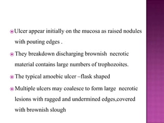 ⦿Ulcer appear initially on the mucosa as raised nodules
with pouting edges .
⦿ They breakdown discharging brownish necrotic
material contains large numbers of trophozoites.
⦿ The typical amoebic ulcer –flask shaped
⦿ Multiple ulcers may coalesce to form large necrotic
lesions with ragged and undermined edges,covered
with brownish slough
 