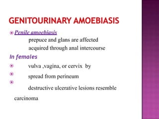 ⦿ Penile amoebiasis
prepuce and glans are affected
acquired through anal intercourse
In females
⦿ vulva ,vagina, or cervix by
spread from perineum
destructive ulcerative lesions resemble
carcinoma
⦿
⦿
 