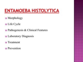 ⦿ Morphology
⦿ Life Cycle
⦿ Pathogenesis & Clinical Features
⦿ Laboratory Diagnosis
⦿ Treatment
⦿ Prevention
 