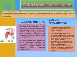 AMEBIASIS INTESTINAL
 La forma clásica, aunque no la más
frecuente, es la disentérica. Lo más
habitual es inicialmente muestre una
sintomatología poco intensa, con
anorexia, astenia, lengua suburral,
dolor abdominal, alteraciones del
tránsito del intestino y diarrea trivial
no sanguinolenta
 Las complicaciones más importantes
de la amebiasis intestinal con
hemorragia; perforación, oclusiones
intestinal, síndrome irritativo del
intestino, colitis ulcerativa
posdisentérica.
AMEBIASIS
EXTRAINTESTINAL
 Puede manifestarse al cabo de
varios días, meses o años del
cuadro intestinal.
 El cuadro más frecuente es la
amebiasis hepática, que evoluciona
en dos fases: fase de inflación y fase
de absceso. Se presenta con un
curso lento e insidioso,
acompañado de pérdida de peso,
dolor en el hipocondrio derecho,
fiebre no muy elevada,
hepatomegalia ligera e ictericia
discreta. El hígado es doloroso a la
palpación y el diafragma aparece
elevado.
El cuadro clínico producido por el Entameoba Histolytica se conoce tradicionalmente como amebiasis. La amibiasis se clasifica por sus
manifestaciones en sintomática y asintomática, por su localización en intestinal y extraintestinal y por su evolución en aguda y crónica, de
la combinación de estas clasificaciones se integran los cuadros específicos de la amibiasis. La infección asintomática es relativamente
frecuentemente.
 