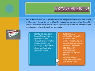  Para el tratamiento de la amibiasis existen drogas antiamibianas con acción
a diferentes niveles de los tejidos del hospedero como son los de acción
luminal, tisular en el intestino, tisular fuera del intestino, de concentración
selectivamente hepática y de acción mixta.
Dentro de las acción
luminal tenemos a las
quinoleínas, las
diyodohidroxiquinoleín
as que son las más
usadas; y la quifamida
de acción luminal y
tisular intestinal
la clefamida y
etofamida, de acción
sistemática el
metrodinazol y algunos
otros imidazoles como
tinidazol, zecnidazol,
etc. de acción
sistemática el
metrodinazol y con
buenas
concentraciones
cutáneas tenemos la
dehidroemetina.
 