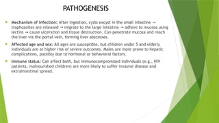 Entamoeba_histolytica[1].pptparasitology | PPTX