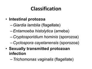 Classification
• Intestinal protozoa
–Giardia lamblia (flagellate)
–Entamoeba histolytica (ameba)
–Cryptosporidium hominis (sporozoa)
–Cyclospora cayetanensis (sporozoa)
• Sexually transmitted protozoan
infection
–Trichomonas vaginalis (flagellate)
 