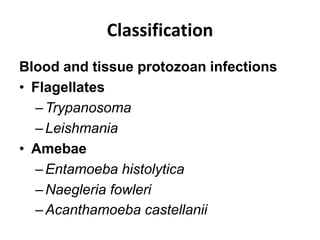 Classification
Blood and tissue protozoan infections
• Flagellates
–Trypanosoma
–Leishmania
• Amebae
–Entamoeba histolytica
–Naegleria fowleri
–Acanthamoeba castellanii
 