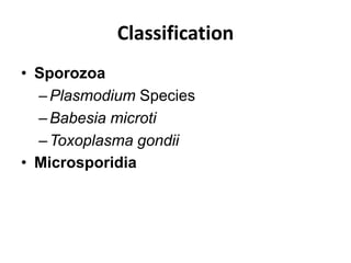 Classification
• Sporozoa
–Plasmodium Species
–Babesia microti
–Toxoplasma gondii
• Microsporidia
 