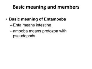 Basic meaning and members
• Basic meaning of Entamoeba
–Enta means intestine
–amoeba means protozoa with
pseudopods
 