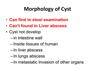 Morphology of Cyst
• Can find in stool examination
• Can’t found in Liver abscess
• Cyst not develop
–in Intestine wall
–Inside tissues of human
–In liver abscess
–In lungs abscess
–In metastatic Invasion of other organs
 