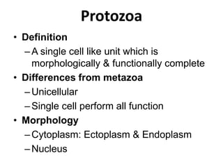 Protozoa
• Definition
–A single cell like unit which is
morphologically & functionally complete
• Differences from metazoa
–Unicellular
–Single cell perform all function
• Morphology
–Cytoplasm: Ectoplasm & Endoplasm
–Nucleus
 