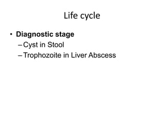 Life cycle
• Diagnostic stage
–Cyst in Stool
–Trophozoite in Liver Abscess
 