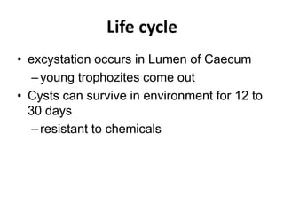 Life cycle
• excystation occurs in Lumen of Caecum
–young trophozites come out
• Cysts can survive in environment for 12 to
30 days
–resistant to chemicals
 