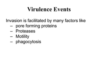 Virulence Events
Invasion is facilitated by many factors like
– pore forming proteins
– Proteases
– Motility
– phagocytosis
 