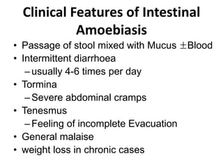 Clinical Features of Intestinal
Amoebiasis
• Passage of stool mixed with Mucus ±Blood
• Intermittent diarrhoea
–usually 4-6 times per day
• Tormina
–Severe abdominal cramps
• Tenesmus
–Feeling of incomplete Evacuation
• General malaise
• weight loss in chronic cases
 