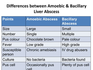 Differences between Amoebic & Bacillary
Liver Abscess
Points Amoebic Abscess Bacillary
Abscess
Size Large Small
Number Single Multiple
Pus colour Chocolate brown Pale colour
Fever Low grade High grade
Susceptible
person
Chronic amebiasis IV drug abusers
Culture No bacteria Bacteria found
Pus cell Occasionally pus Plenty of pus cell
 