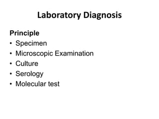 Laboratory Diagnosis
Principle
• Specimen
• Microscopic Examination
• Culture
• Serology
• Molecular test
 