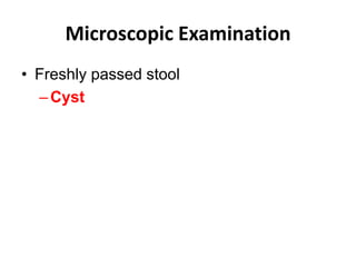 Microscopic Examination
• Freshly passed stool
–Cyst
 