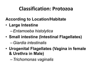 Classification: Protozoa
According to Location/Habitate
• Large Intestine
–Entamoeba histolytica
• Small intestine (Intestinal Flagellates)
–Giardia intestinalis
• Urogenital Flagellates (Vagina in female
& Urethra in Male)
–Trichomonas vaginalis
 