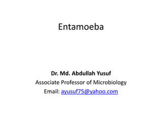 Entamoeba
Dr. Md. Abdullah Yusuf
Associate Professor of Microbiology
Email: ayusuf75@yahoo.com
 