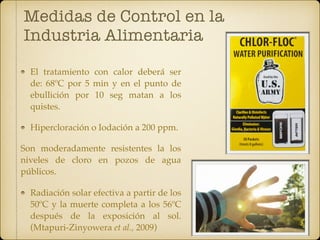Medidas de Control en la
Industria Alimentaria
El tratamiento con calor deberá ser
de: 68ºC por 5 min y en el punto de
ebullición por 10 seg matan a los
quistes.
Hipercloración o Iodación a 200 ppm.
Son moderadamente resistentes la los
niveles de cloro en pozos de agua
públicos.
Radiación solar efectiva a partir de los
50ºC y la muerte completa a los 56ºC
después de la exposición al sol.
(Mtapuri-Zinyowera et al., 2009)
 