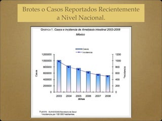 Brotes o Casos Reportados Recientemente
a Nivel Nacional.
 