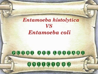 Entamoeba histolytica
       VS
  Entamoeba coli
 