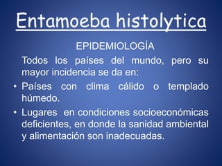 EPIDEMIOLOGÍA
Todos los países del mundo, pero su
mayor incidencia se da en:
• Países con clima cálido o templado
húmedo.
• Lugares en condiciones socioeconómicas
deficientes, en donde la sanidad ambiental
y alimentación son inadecuadas.
Entamoeba histolytica
 