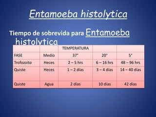 Tiempo de sobrevida para Entamoeba
histolytica
TEMPERATURA
FASE Medio 37° 20° 5°
Trofozoito Heces 2 – 5 hrs 6 – 16 hrs 48 – 96 hrs
Quiste Heces 1 – 2 días 3 – 4 días 14 – 40 días
Quiste Agua 2 días 10 días 42 días
Entamoeba histolytica
 