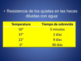 • Resistencia de los quistes en las heces
diluidas con agua:
Temperatura Tiempo de sobrevida
50° 5 minutos
37° 2 días
22° 9 días
0° 90 días
 
