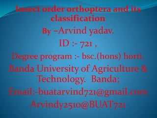 Insect order orthoptera and its
classification
By –Arvind yadav.
ID :- 721 ,
Degree program :- bsc.(hons) horti.
Banda University of Agriculture &
Technology. Banda;
Email:-buatarvind721@gmail.com
Arvindy2510@BUAT721
 