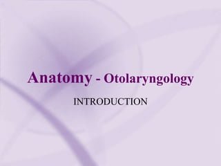 Anatomy - Otolaryngology
INTRODUCTION
 