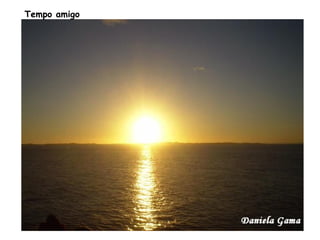 Tempo amigo   