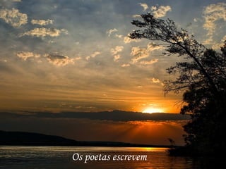 Os poetas escrevem 