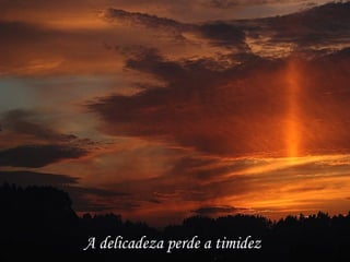 A delicadeza perde a timidez 