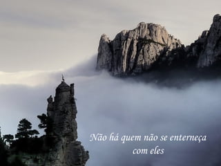 Não há quem não se enterneça com eles 