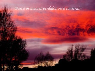Busca os amores perdidos ou a construir 